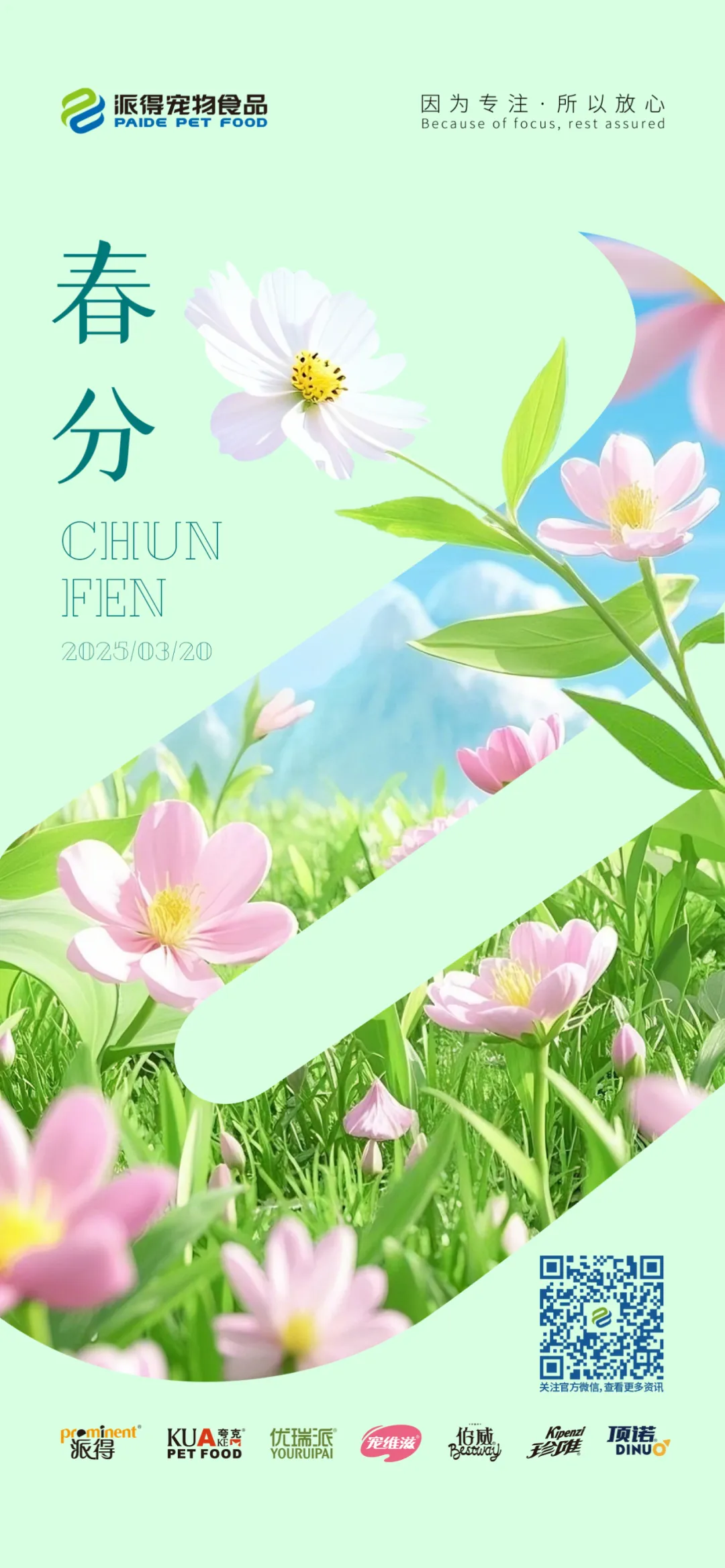 派得宠物