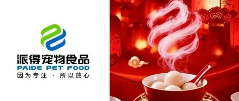 元宵节丨花灯映月 元宵启安